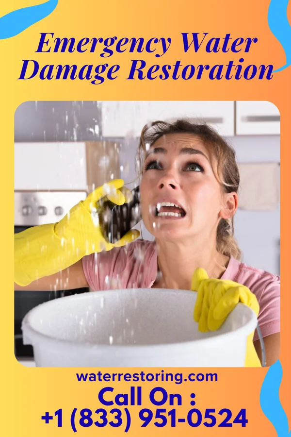 Emergency Water Damage Restoration in Ruhenstroth, NV